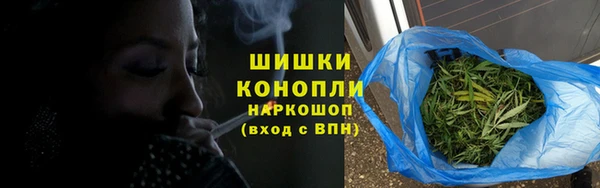 индика Балахна