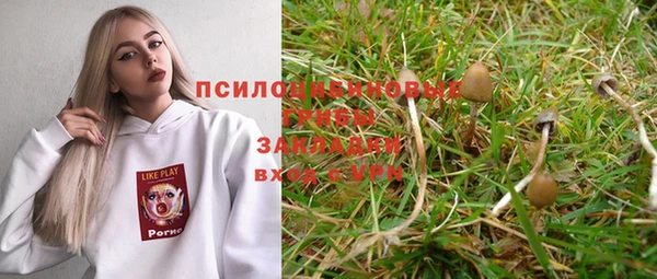 трава Баксан
