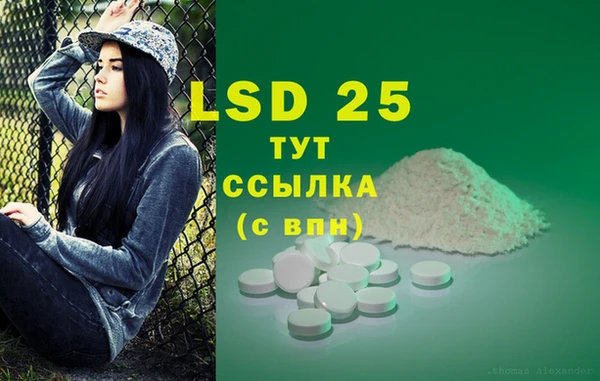 индика Балахна