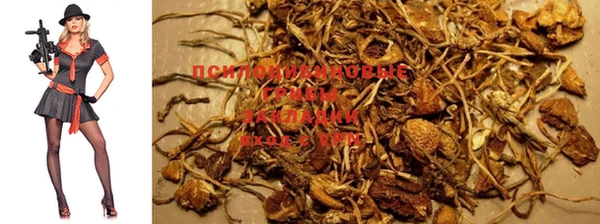 индика Балахна