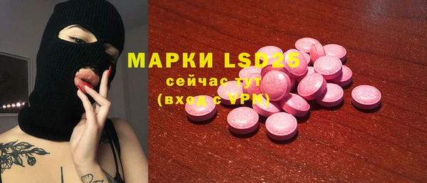 индика Балахна