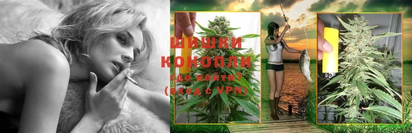 индика Балахна