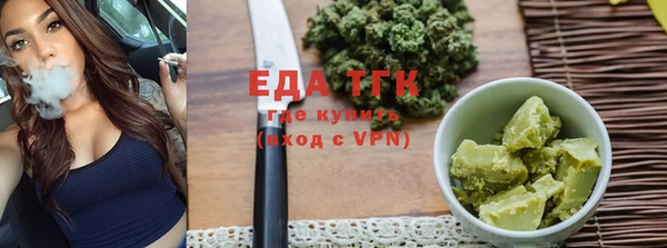 индика Балахна