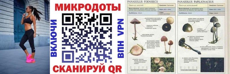 купить   Семикаракорск  Галлюциногенные грибы мухоморы 