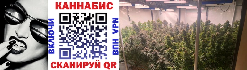 Конопля Bruce Banner  как найти закладки  Семикаракорск 